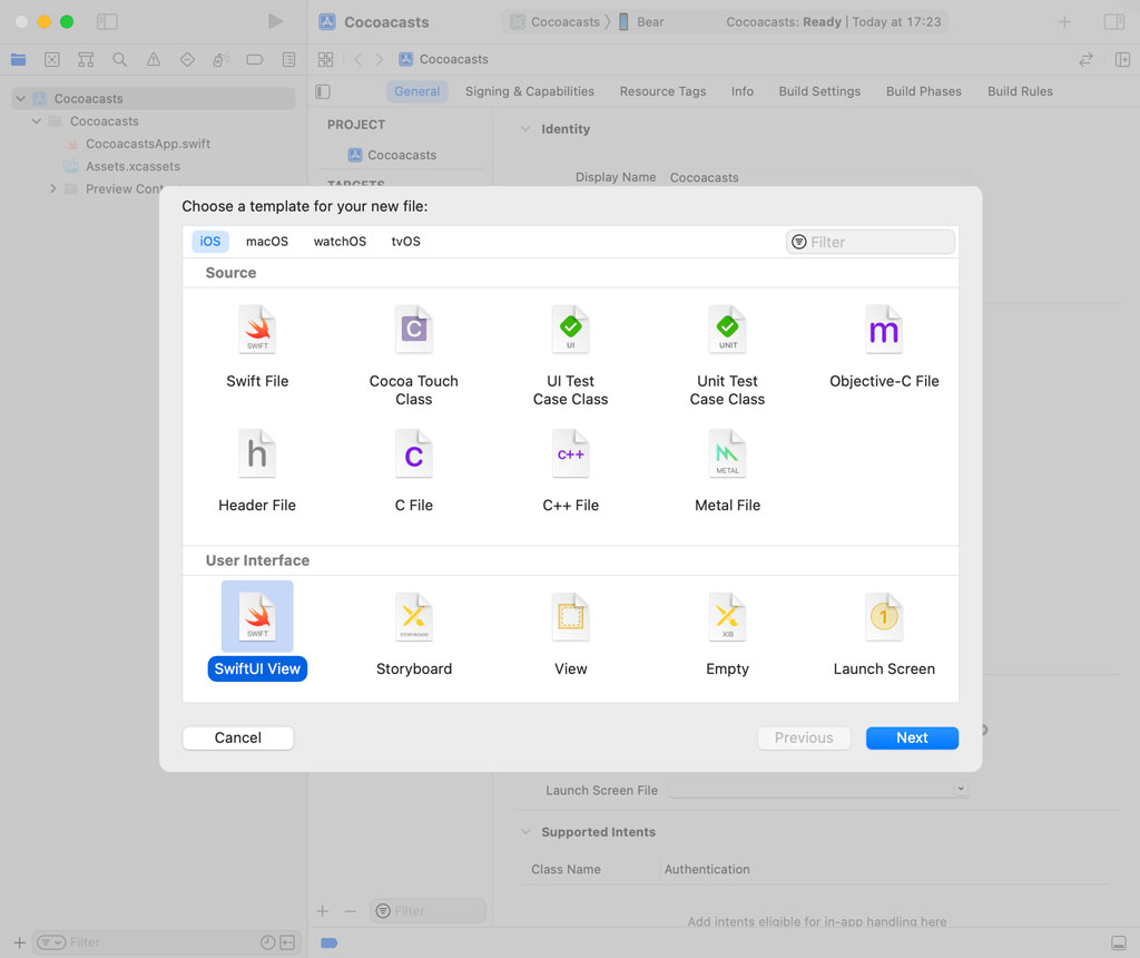 Creating the Sign In View