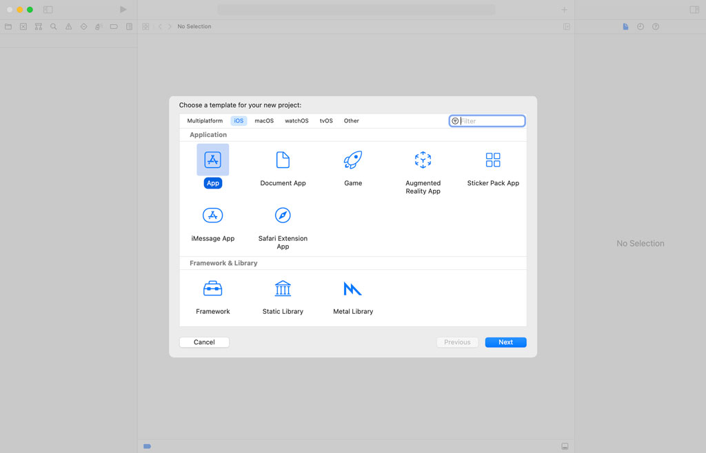 Setting Up the Project