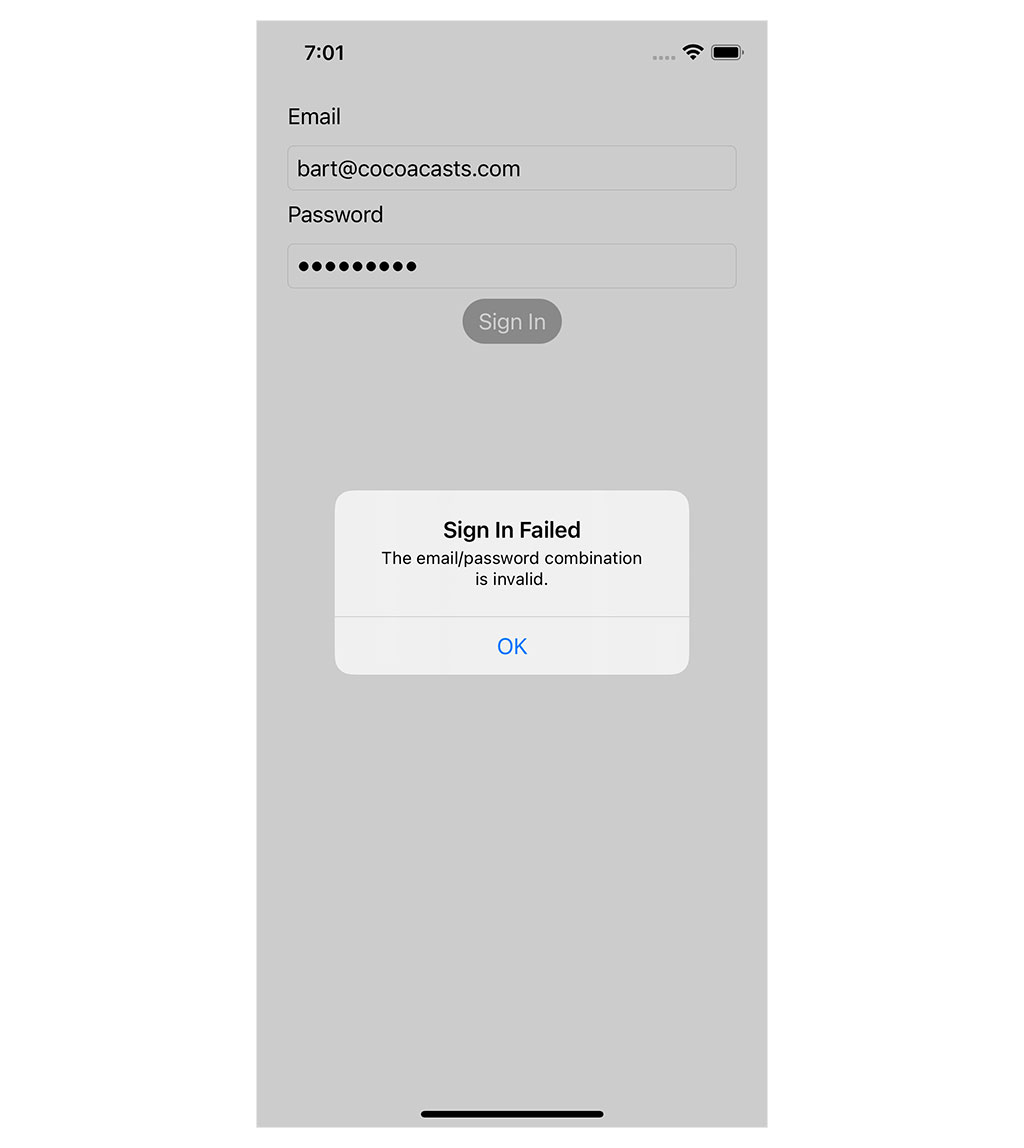 Authenticating the User
