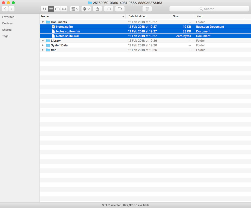 Inspecting the Application's Container
